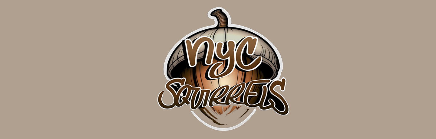 NYC Squirrels NFT banner